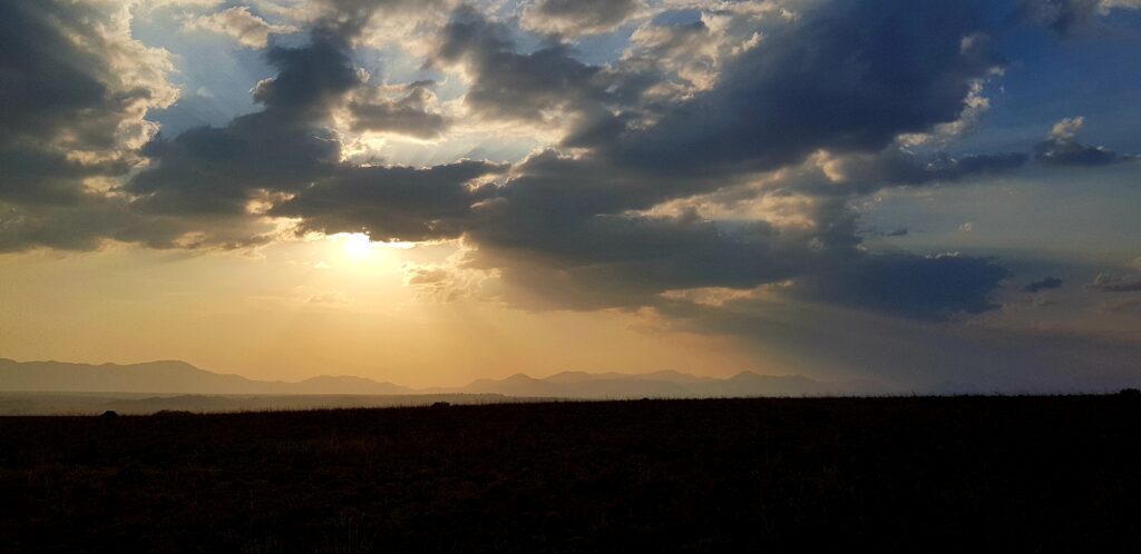 one of the view from kidepo
