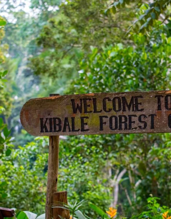Welcome-to-Kibale-Forest-Camp