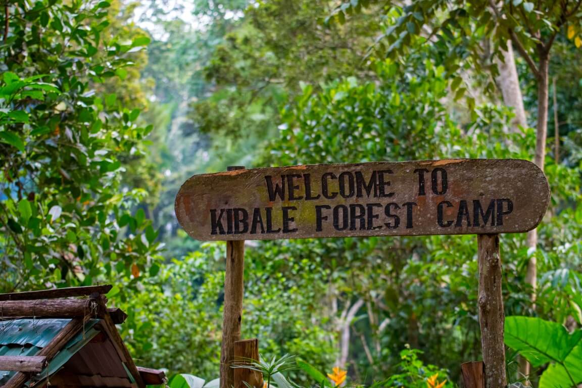 Welcome-to-Kibale-Forest-Camp